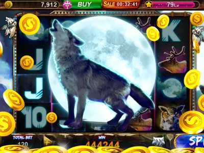 Experiencia de usuario de Premier Bet Zone RDC